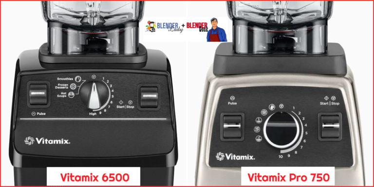 Vitamix 6500 vs Pro 750
